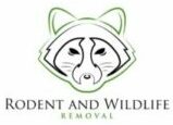Santa Ana Wildlife Removal
